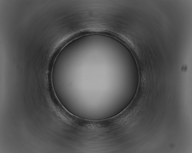 X0000090950535200708241131