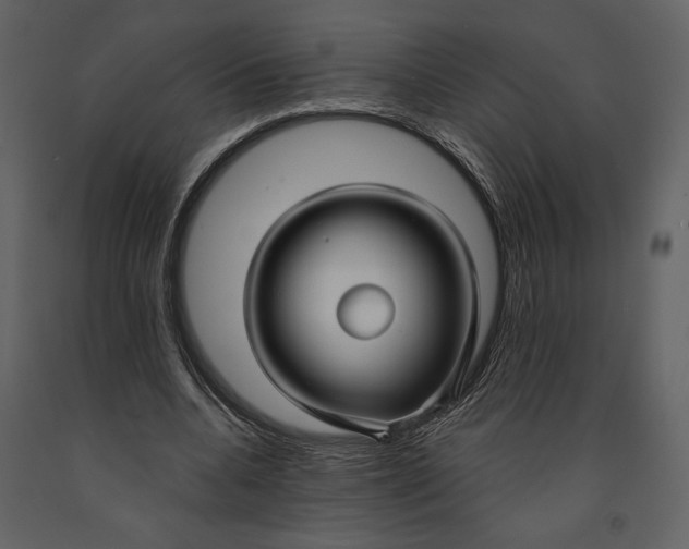 X0000090950536200708241131
