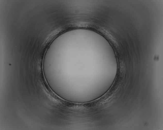 X0000090950537200708241131