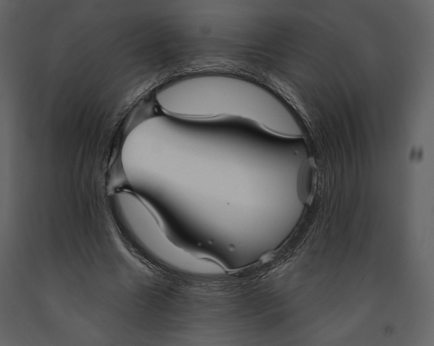 X0000090950538200708241131