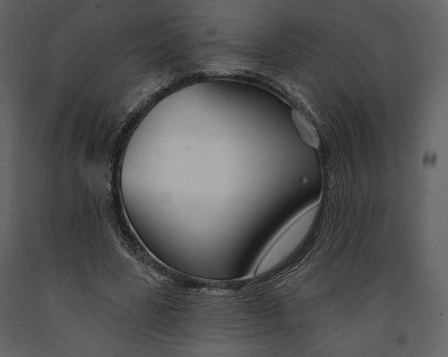 X0000090950539200708241131