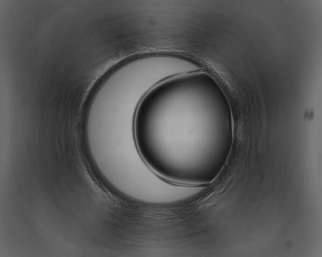 X0000090950540200708241131