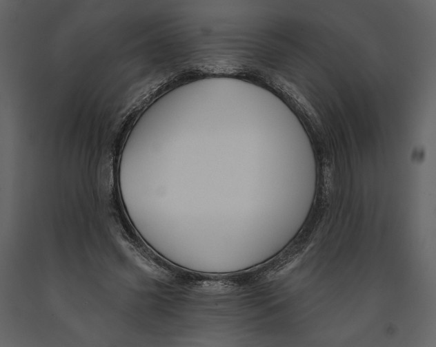 X0000090950541200708241131