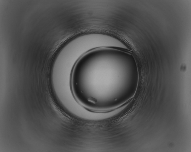 X0000090950542200708241131