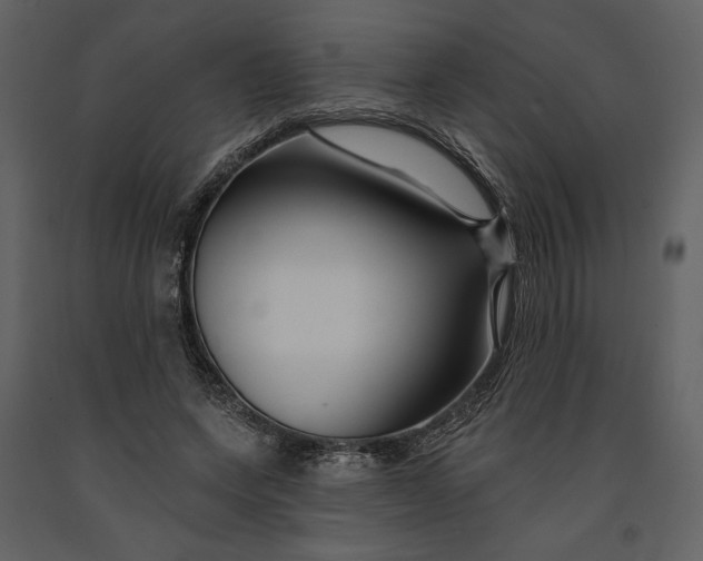 X0000090950543200708241131