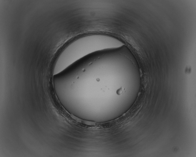 X0000090950544200708241131