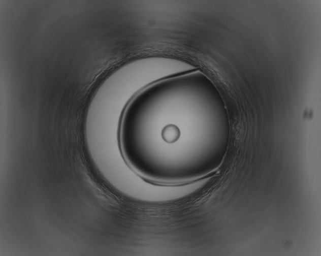 X0000090950546200708241131