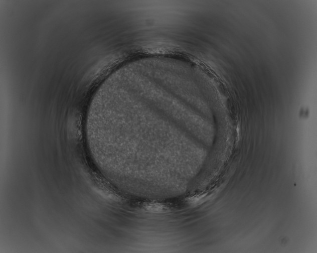 X0000090950547200708241131