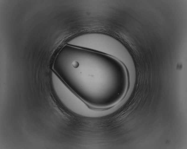X0000090950548200708241131