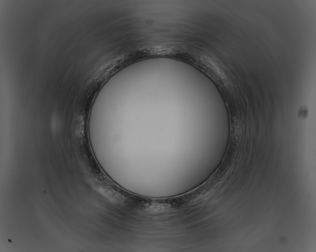 X0000090950549200708241131