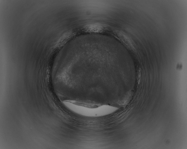 X0000090950551200708241131