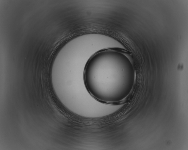 X0000090950552200708241131