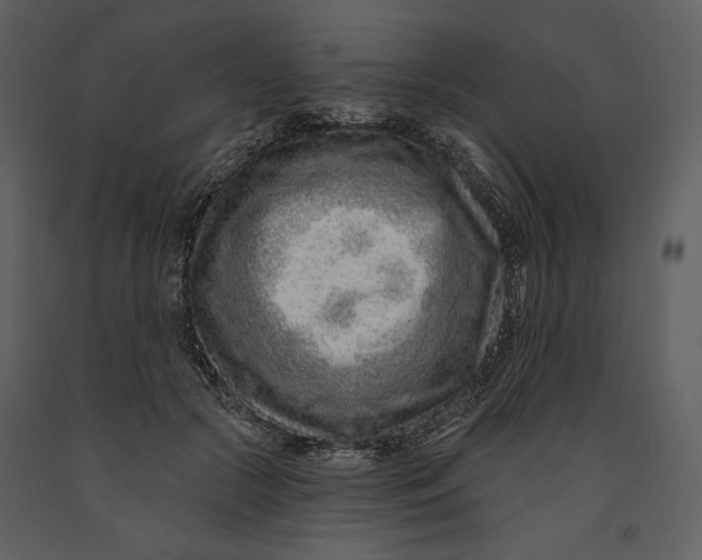 X0000090950553200708241131