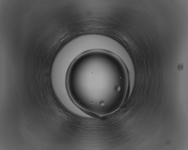 X0000090950554200708241131