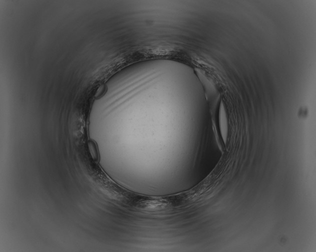 X0000090950555200708241131