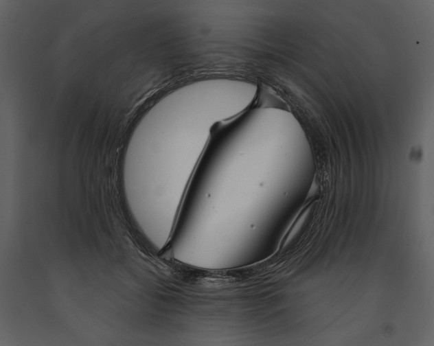 X0000090950556200708241131