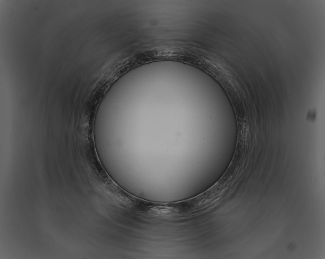 X0000090950557200708241131