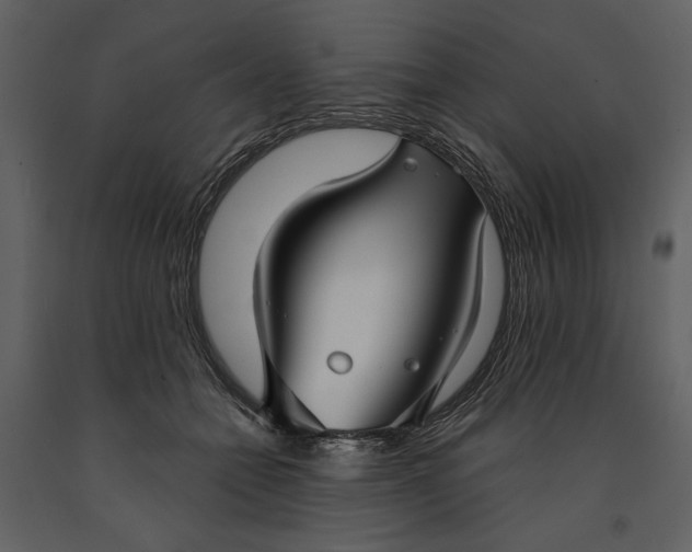 X0000090950558200708241131