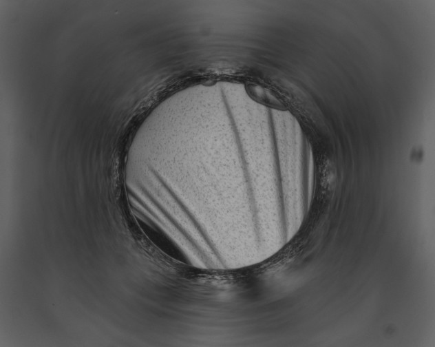 X0000090950559200708241131