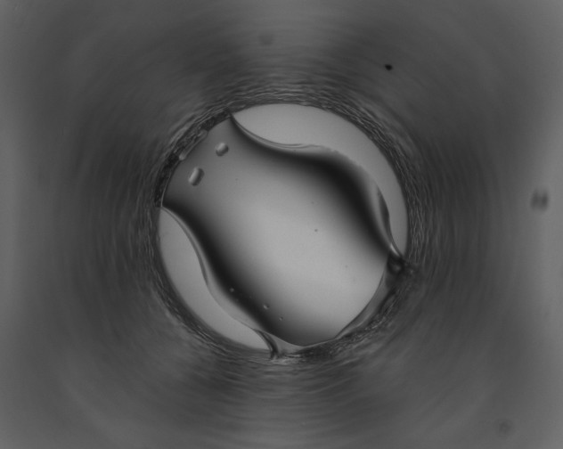 X0000090950560200708241131