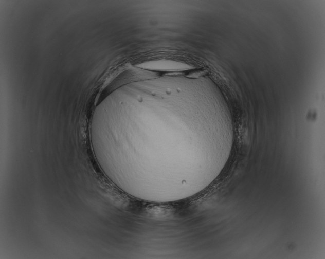 X0000090950561200708241131