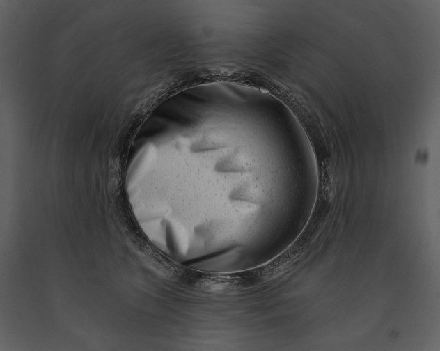 X0000090950563200708241131