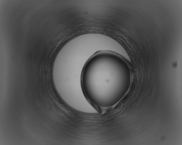 X0000090950564200708241131