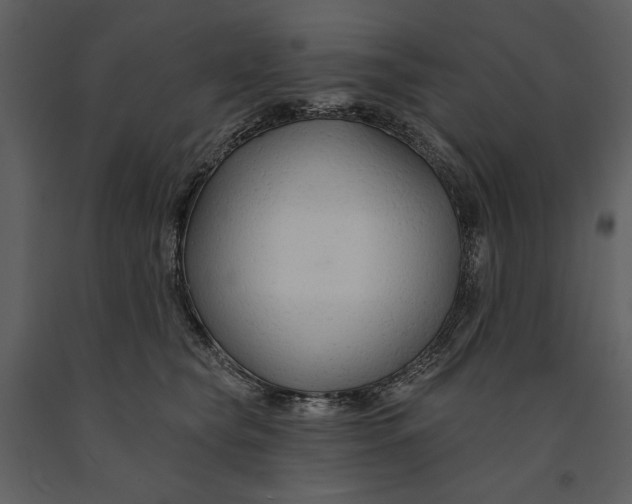 X0000090950565200708241131