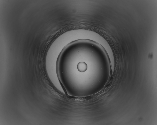 X0000090950566200708241131