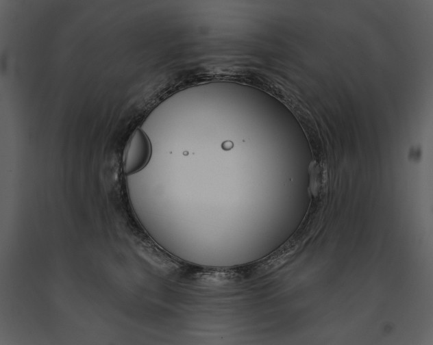 X0000090950567200708241131