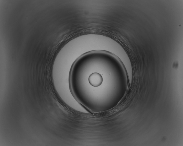 X0000090950568200708241131