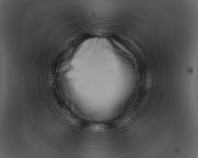 X0000090950569200708241131
