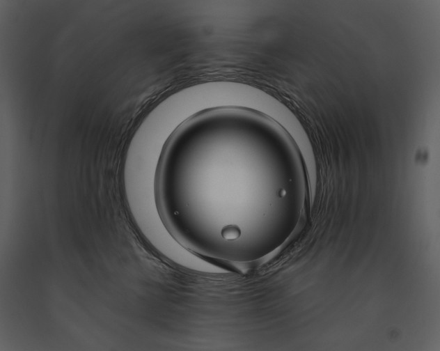X0000090950570200708241132