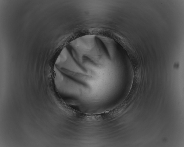 X0000090950571200708241132