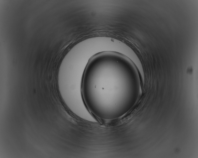 X0000090950572200708241132