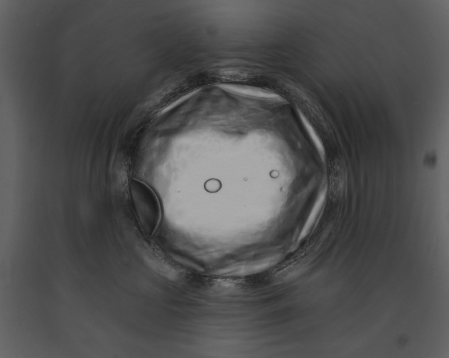 X0000090950573200708241132