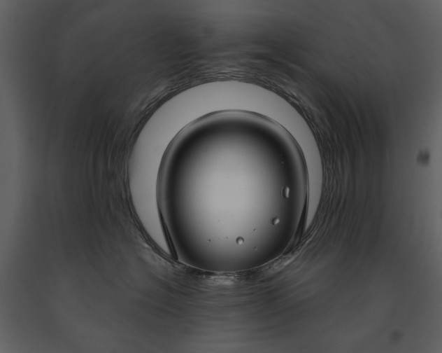 X0000090950574200708241132
