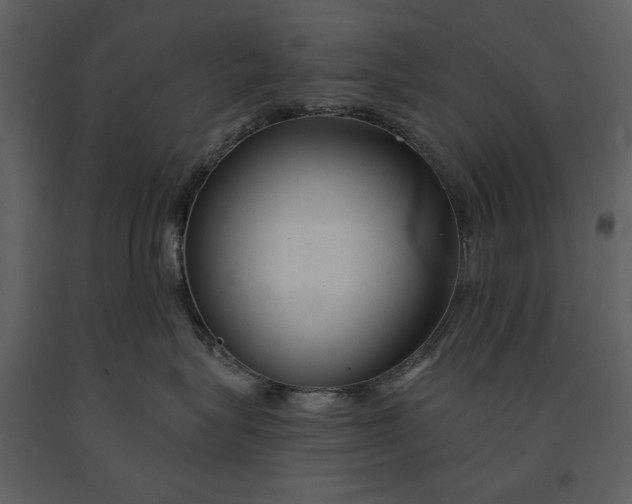 X0000090950575200708241132