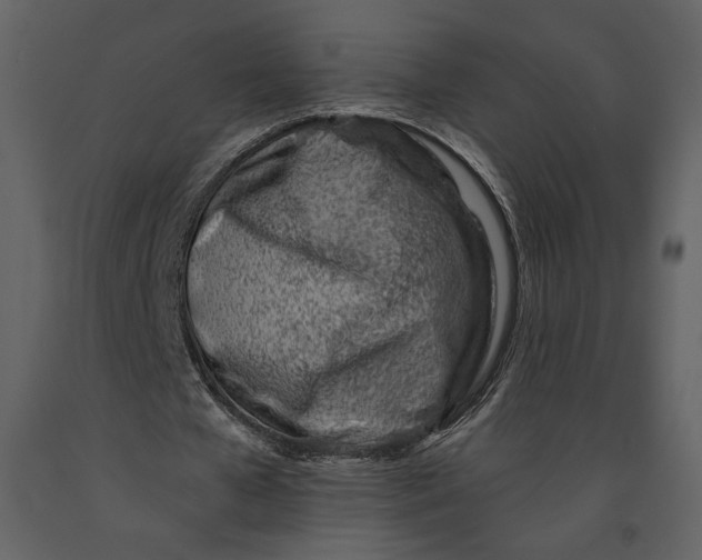 X0000090950577200708241131