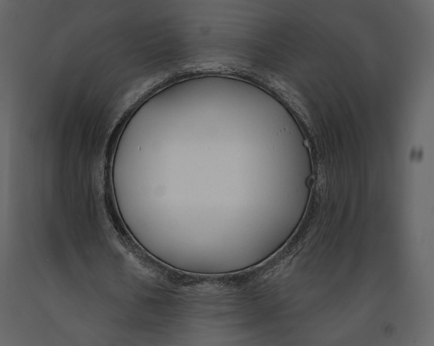 X0000090950578200708241131