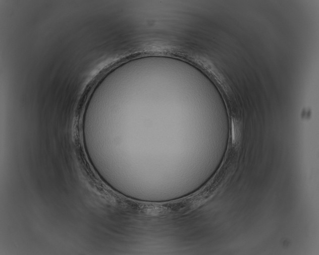X0000090950579200708241131