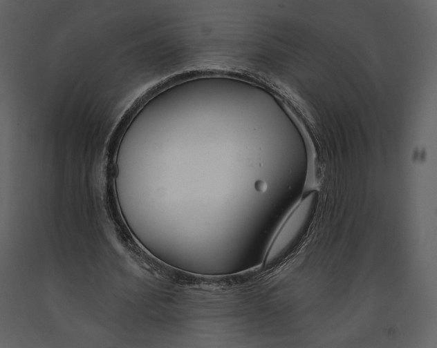 X0000090950580200708241131