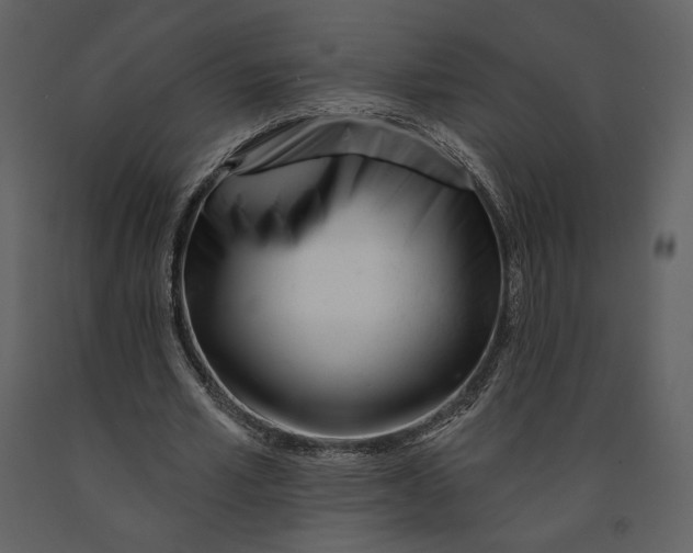 X0000090950581200708241131