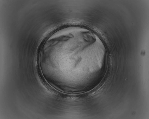 X0000090950582200708241131