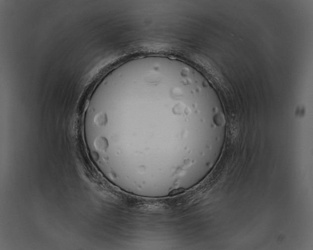 X0000090950583200708241131
