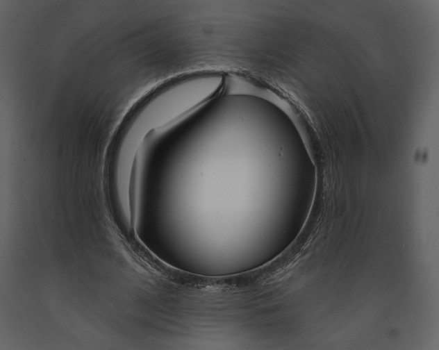 X0000090950584200708241131