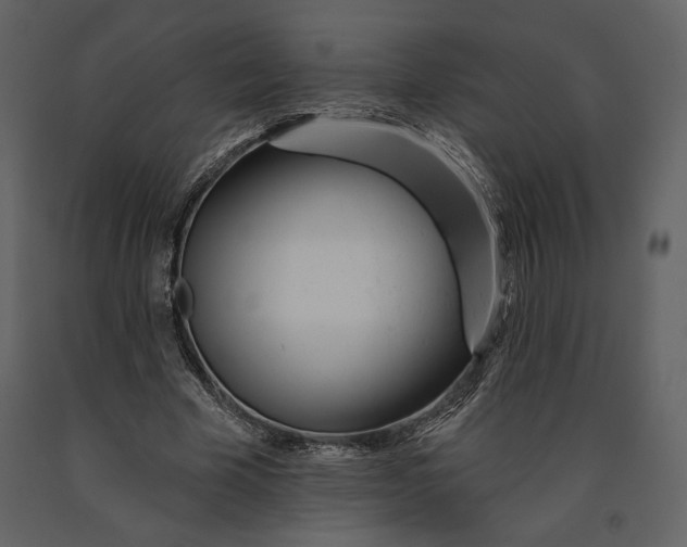 X0000090950585200708241131