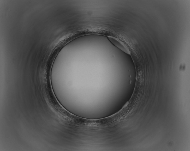 X0000090950587200708241131