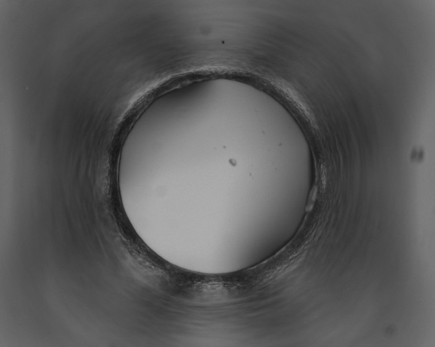 X0000090950588200708241131