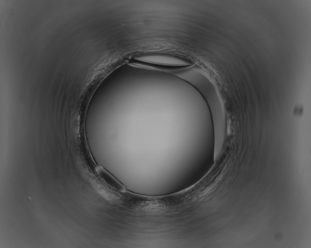X0000090950589200708241131